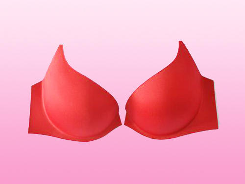 女士內(nèi)衣模杯